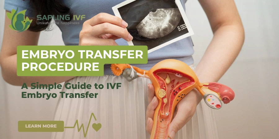 Embryo Transfer Procedure: The Moment Science Meets Miracles