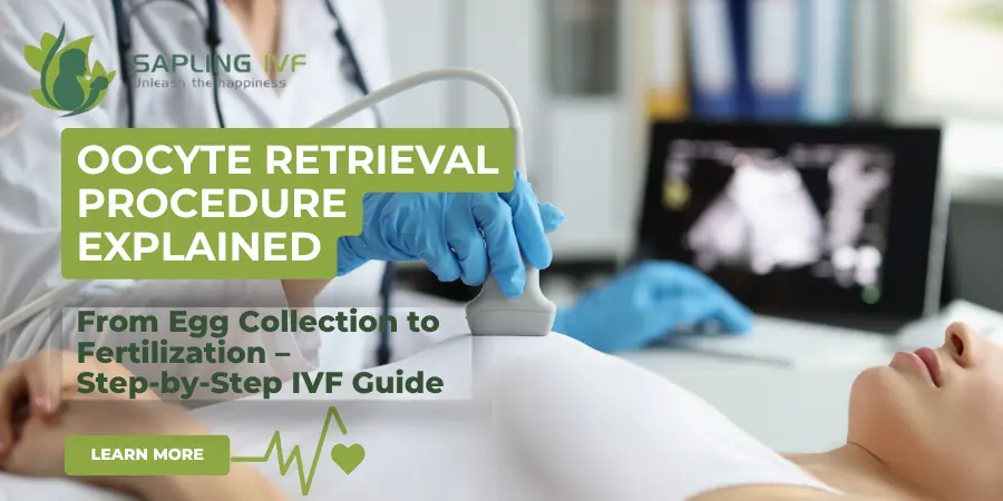 Oocyte Retrieval Procedure: From the Lab to the Beginning of Life